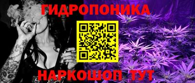 мяу мяу мука Малгобек